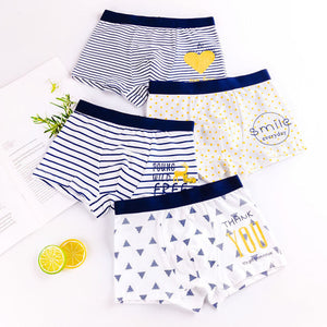 HH 3 Piece Baby Boy Underwear Cartoon Underpants Children's Shorts Panties for Boys Toddler Boxers Cotton Underpant For Teens